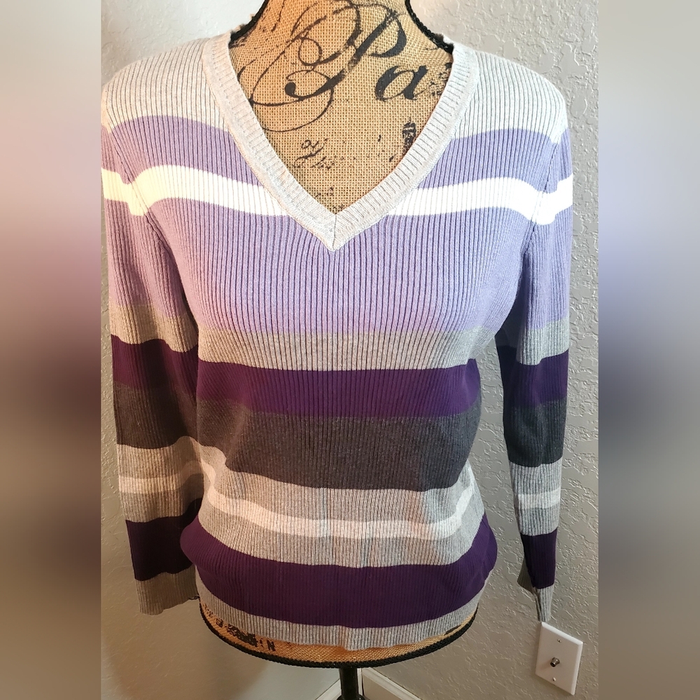 Karen Scott Women's V-Neck Sweater - Purple and Gray Stripes